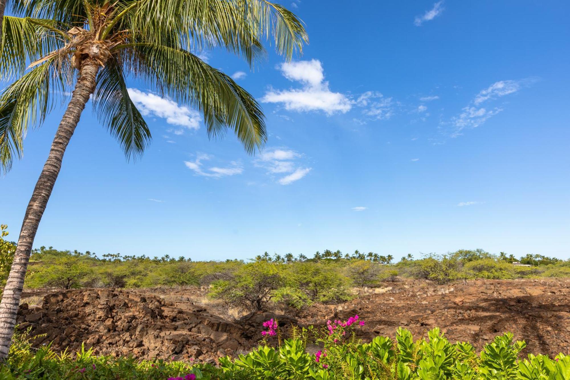 Mauna Lani Palm Villas D-2 Corner Unit Historic View Waikoloa Luaran gambar