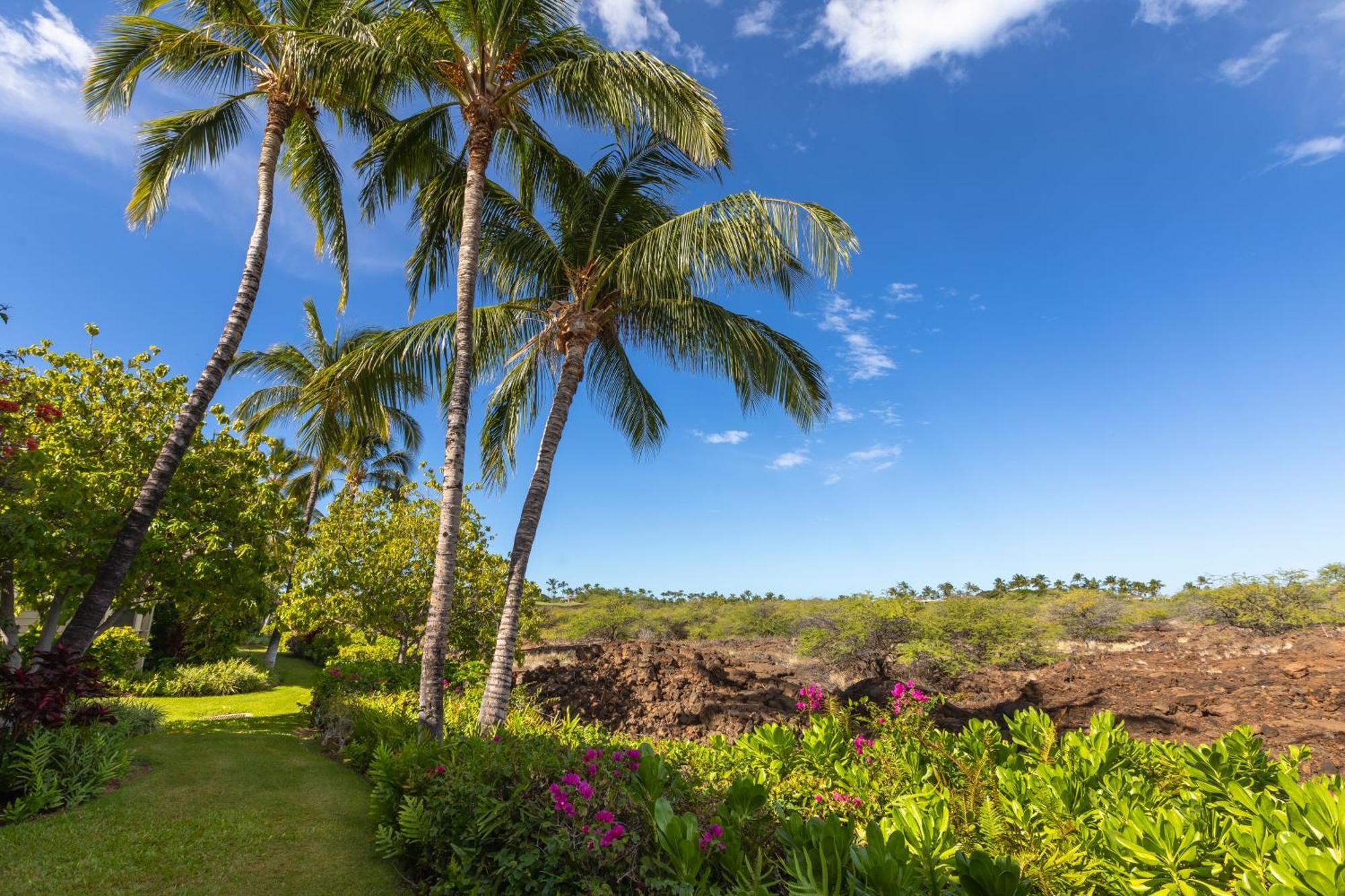 Mauna Lani Palm Villas D-2 Corner Unit Historic View Waikoloa Luaran gambar